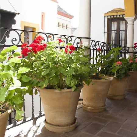 Casa Imperial فندق إشبيلية