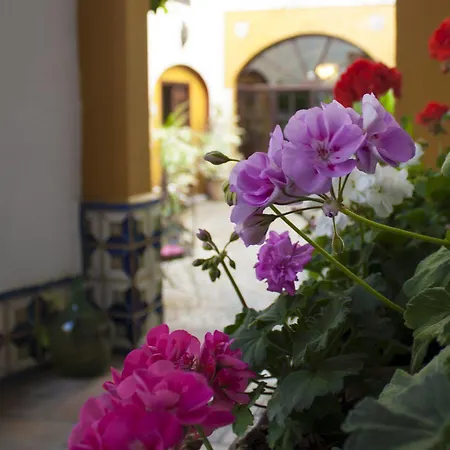 Casa Imperial 4* Sevilla