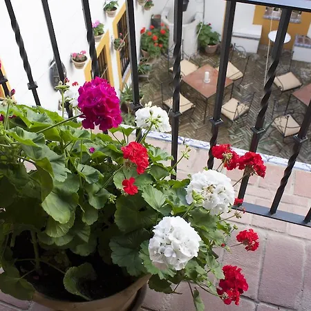 Casa Imperial 4* Seville